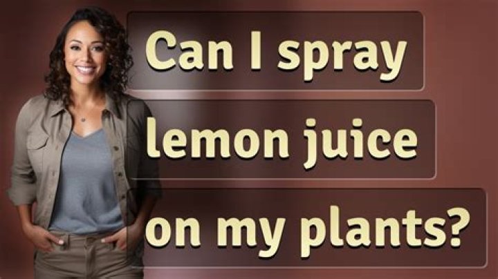Can I spray lemon juice on my plants?