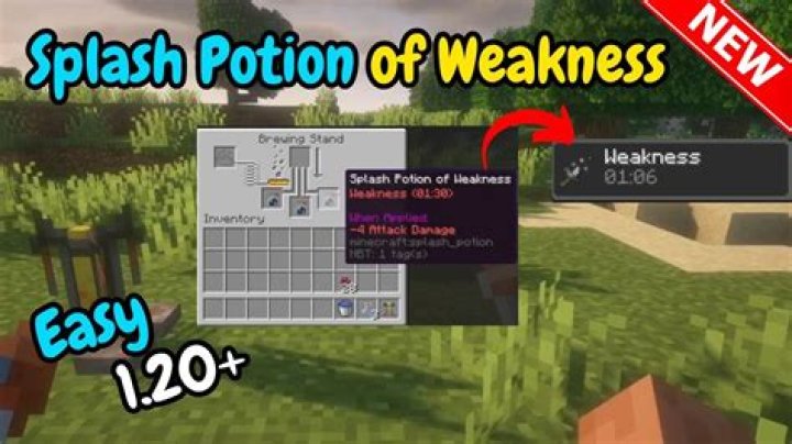 Do splash potions affect the wither?