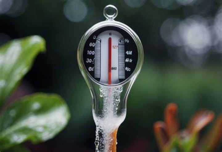 How many calories does a 10 minute cold shower burn?