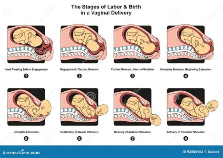 How many hours does Labour take before delivery?