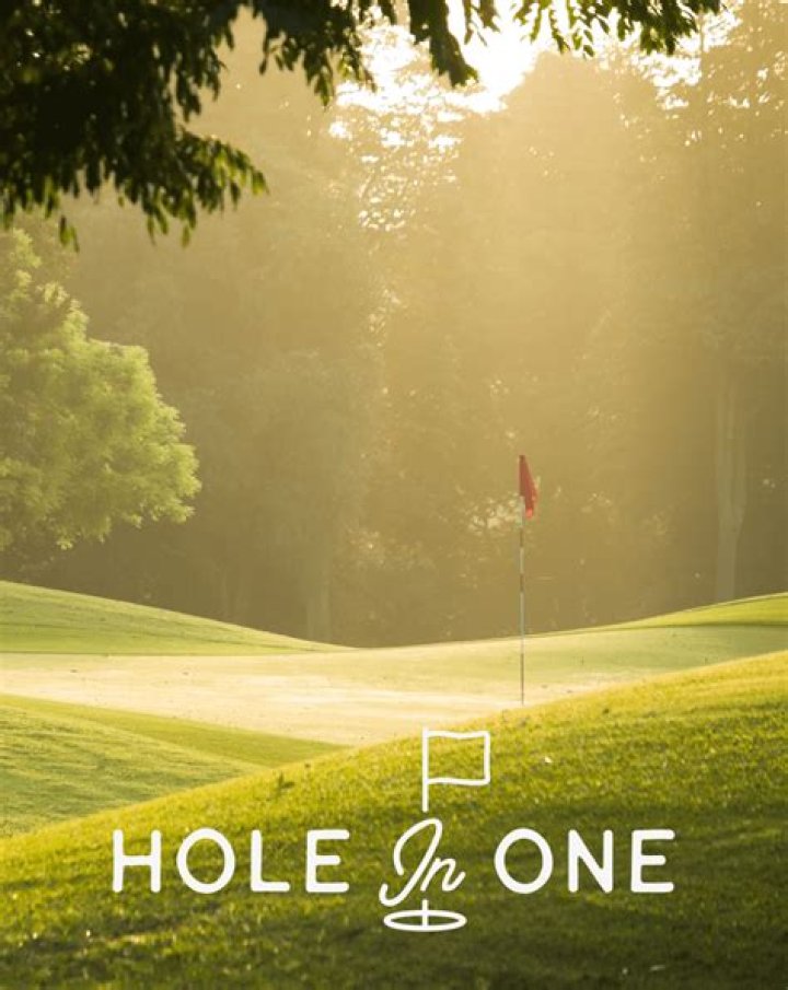 Is it a hole in one if you hit the flag?