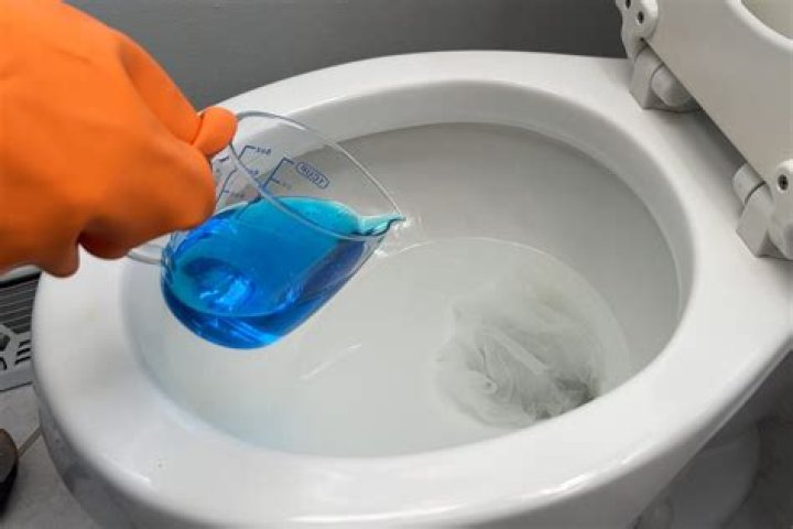 Should I put dish soap in my toilet?