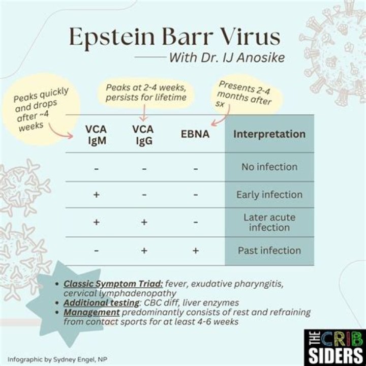 What are two major symptoms of Epstein Barr virus infection?