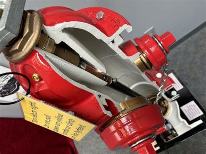 What is a fire hydrant worth?
