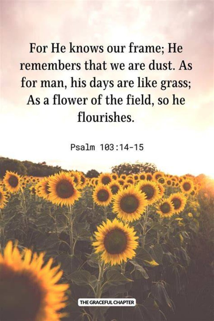 What is God favorite flower?