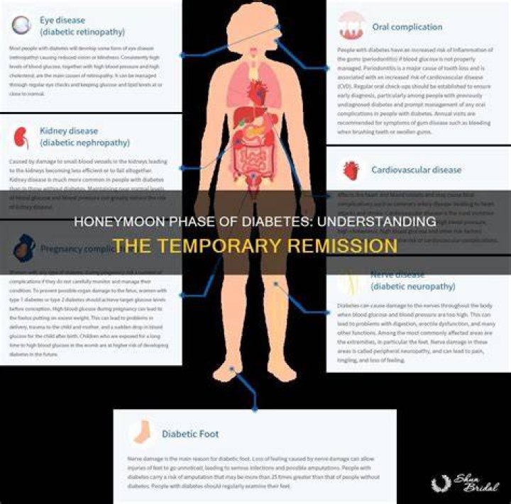 What is the honeymoon phase in diabetes?