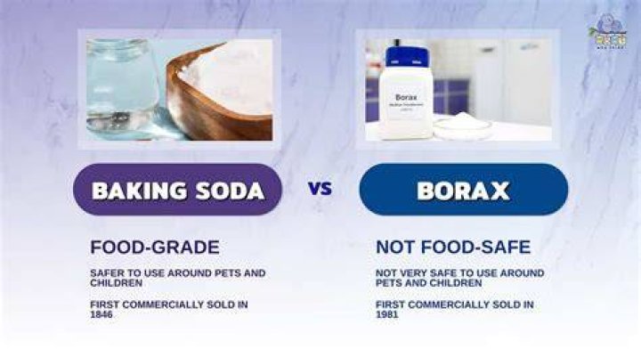 Which is better borax or baking soda?