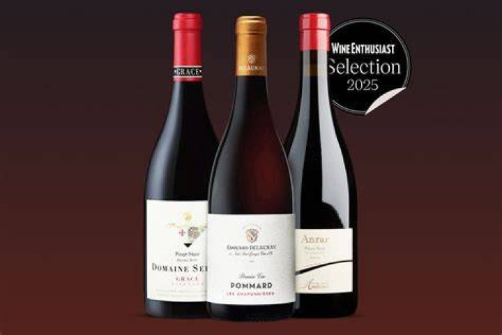 Which Italian wine is most like a Pinot Noir?