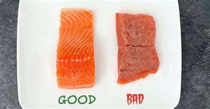 Why is salmon not good for you?